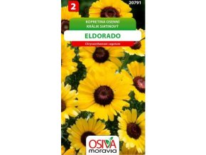 Kopretina osenní Eldorado žlutá_0,4 g OSIVA MORAVIA