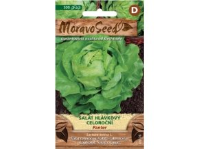 54428 salat hlavkovy panter moravoseed