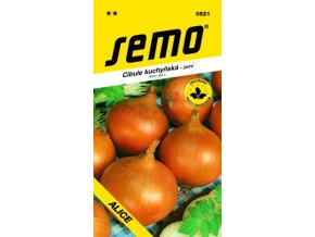 41699 cibule jarni alice 2g