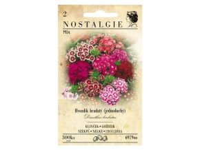 44897 hvozdik bradaty vysoky jednoduchy mix nostalgie
