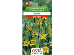 Černucha východní žlutá_0,8 g OSIVA MORAVIA EXPIRACE