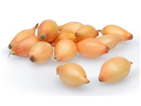 Cibule sazečka AUGUSTA ozimá 500g 8-21mm
