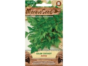 41627 celer listovy jemny moravoseed