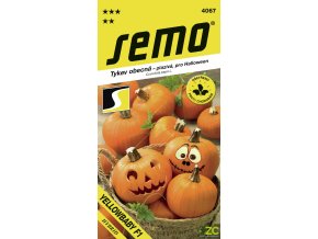 04b5b345 3237 4cb5 b048 982be9b94dde