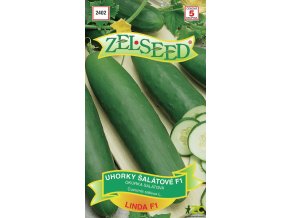 249ea051 bdd9 4919 ae0b a762d1cba649