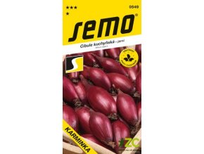 Cibule jarní - Karminka červená oválná 1,5g