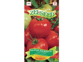 7356fb07 274a 4bf0 8d05 31c6c4e56482