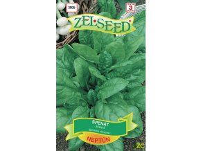 ffb7ba53 1aca 450d 8230 bdd0da4c10c6 (1)