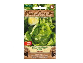 Salát hlávkový raný ALAMER - MORAVOSEED