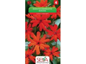 Kohoutek arkwrightův _0,2 g OSIVA MORAVIA EXPIRACE