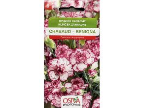Hvozdík karafiát Chabaud Benigna_0,5 g OSIVA MORAVIA