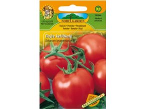 Rajče keříčkové TOPSPIN F1 - NOHEL  GARDEN