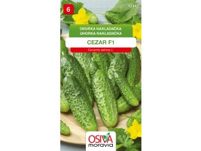 5bc4bd86 cb10 43ec b437 a59e245cc04c