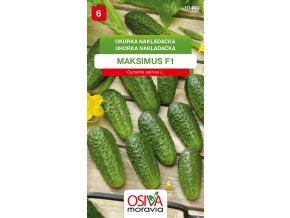 b24cdb87 1ad3 4a91 8cef 8b1c96e5b365 (1)