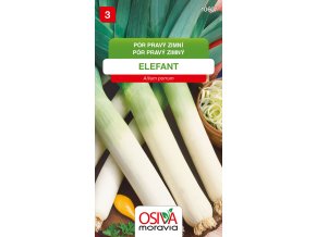 5583d5ef dc82 47d7 9cbd edf157119c34