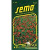 40409 1 aksamitnik drobnokvety cerveny 0 2g