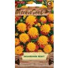 40442 aksamitnik nizky plnokvety zlutohnedy moravoseed