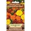 40493 aksamitnik rozkladity plnokvety mix moravoseed