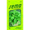 40823 bazalka prava lettuce leaf salatova 1g