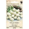 41762 cibule jarni pompei nostalgie