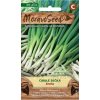 41810 cibule secka entita moravoseed