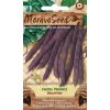 43328 fazol tyckovy blauhilde moravoseed