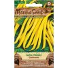 43337 fazol tyckovy goldmarie moravoseed