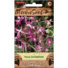 43367 fiala dvouroha moravoseed