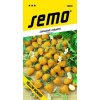 45026 jahodnik mesicni yellow wonder 0 1g