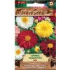 45065 jirinka plnokveta mix moravoseed