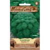 45275 kaderavek kapitan f1 moravoseed