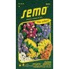 47981 limonka statice sinuata smes 0 5g
