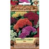 49790 nevadlec hrebenity mix moravoseed