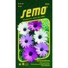 51491 osteospermum smes balade 0 3g