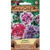 52436 petunie plnokveta pirouette f1 mix moravoseed