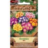 52901 prvosenka mix moravoseed