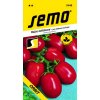 52985 rajce kerickove orbit 1g