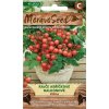 53036 rajce kerickove vilma moravoseed