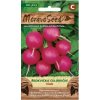 54110 redkvicka viola moravoseed