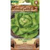 54404 salat hlavkovy amur moravoseed