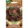 54431 salat hlavkovy rosemarry moravoseed