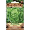54482 salat ledovy kamelot moravoseed