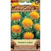 57281 safran svetlice moravoseed