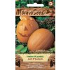 59096 tykev plaziva jack o lantern moravoseed