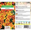 Aksamitník rozkladitý jednoduchý Pascal 0,2 g OSIVA MORAVIA