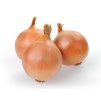 Cibule sazečka AUGUSTA ozimá 500g 8-21mm