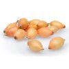 Cibule sazečka AUGUSTA ozimá 500g 8-21mm