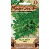 41627 celer listovy jemny moravoseed