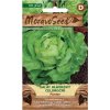 54428 salat hlavkovy panter moravoseed