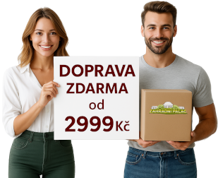 dz 2999